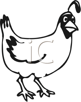 Cartoon Clipart